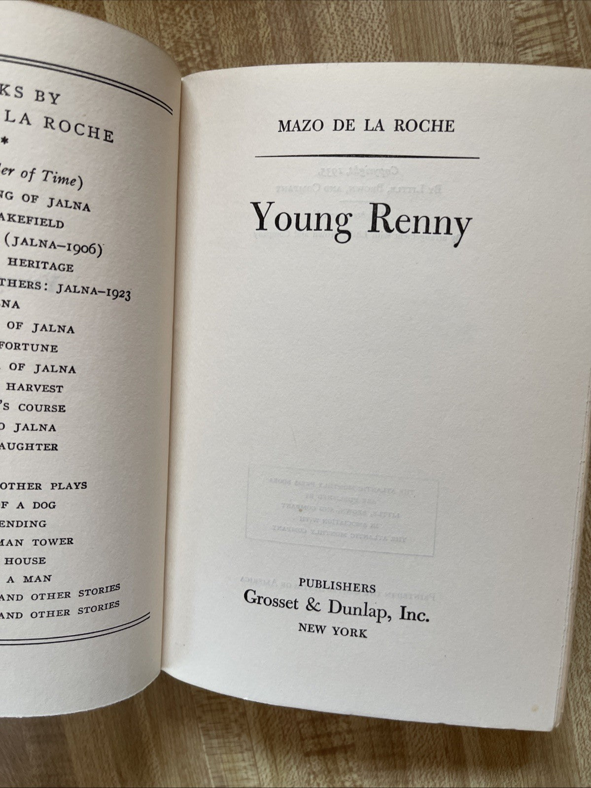 Young Renny Hardcover