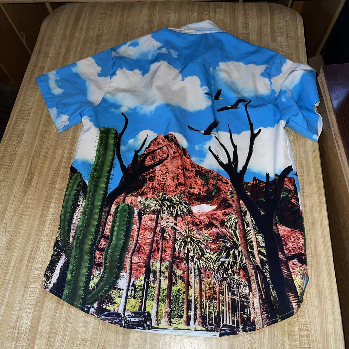 Rebel Minds Button Up Medium
