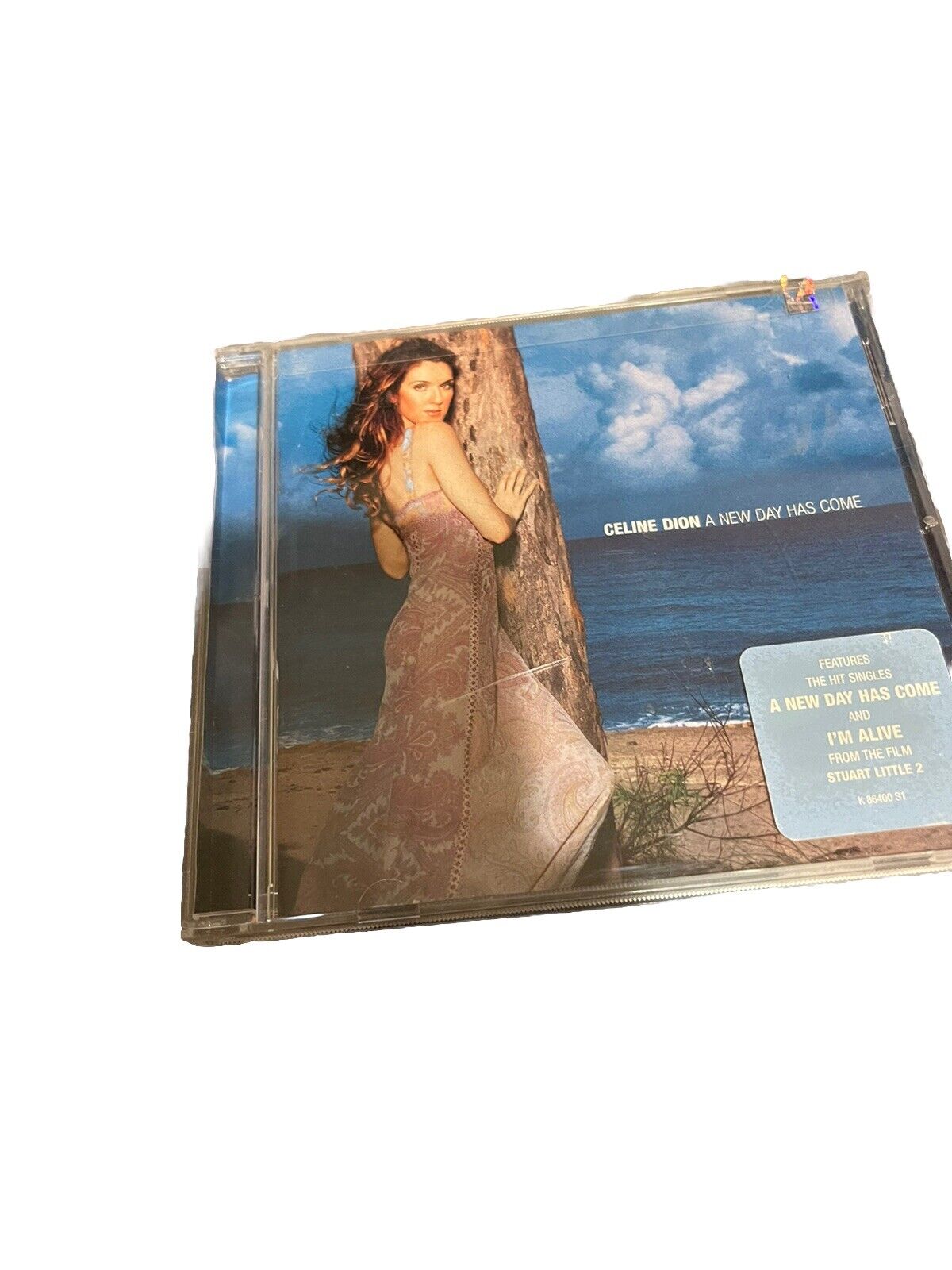 Céline Dion A New Day Has Come CD album cover featuring Céline Dion standing by a tree on the beach