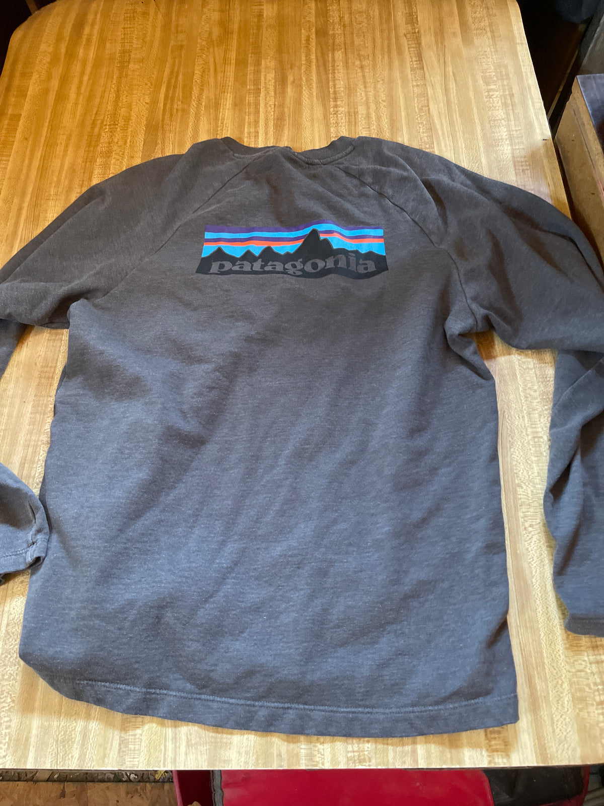 Patagonia sweatshirt medium