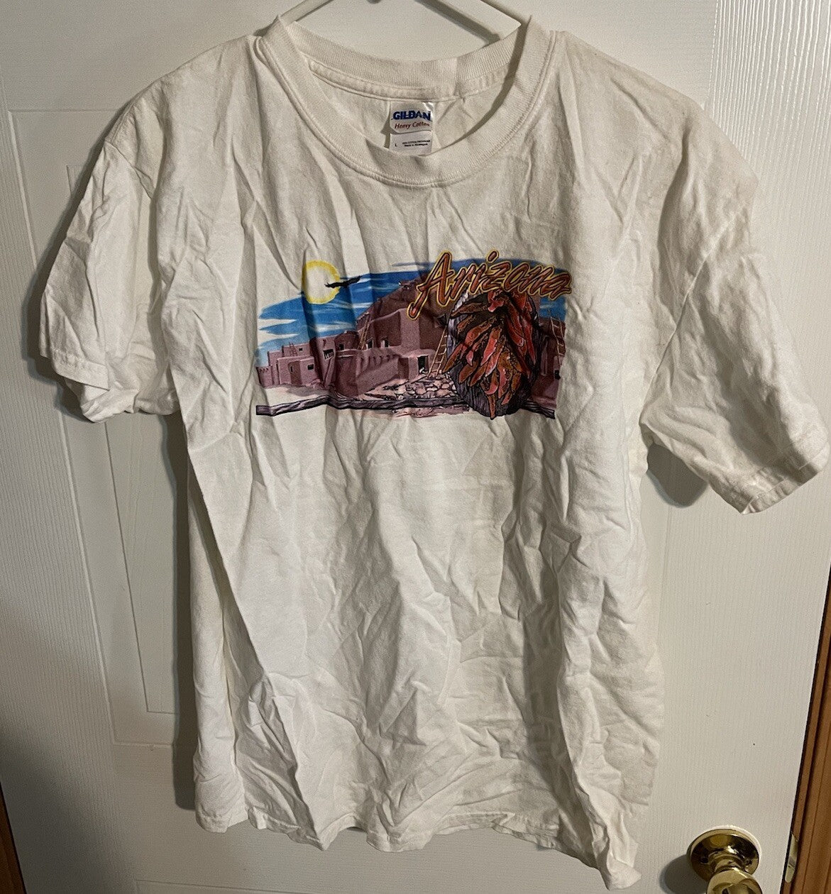 Arizona Tourist T Shirt Large
