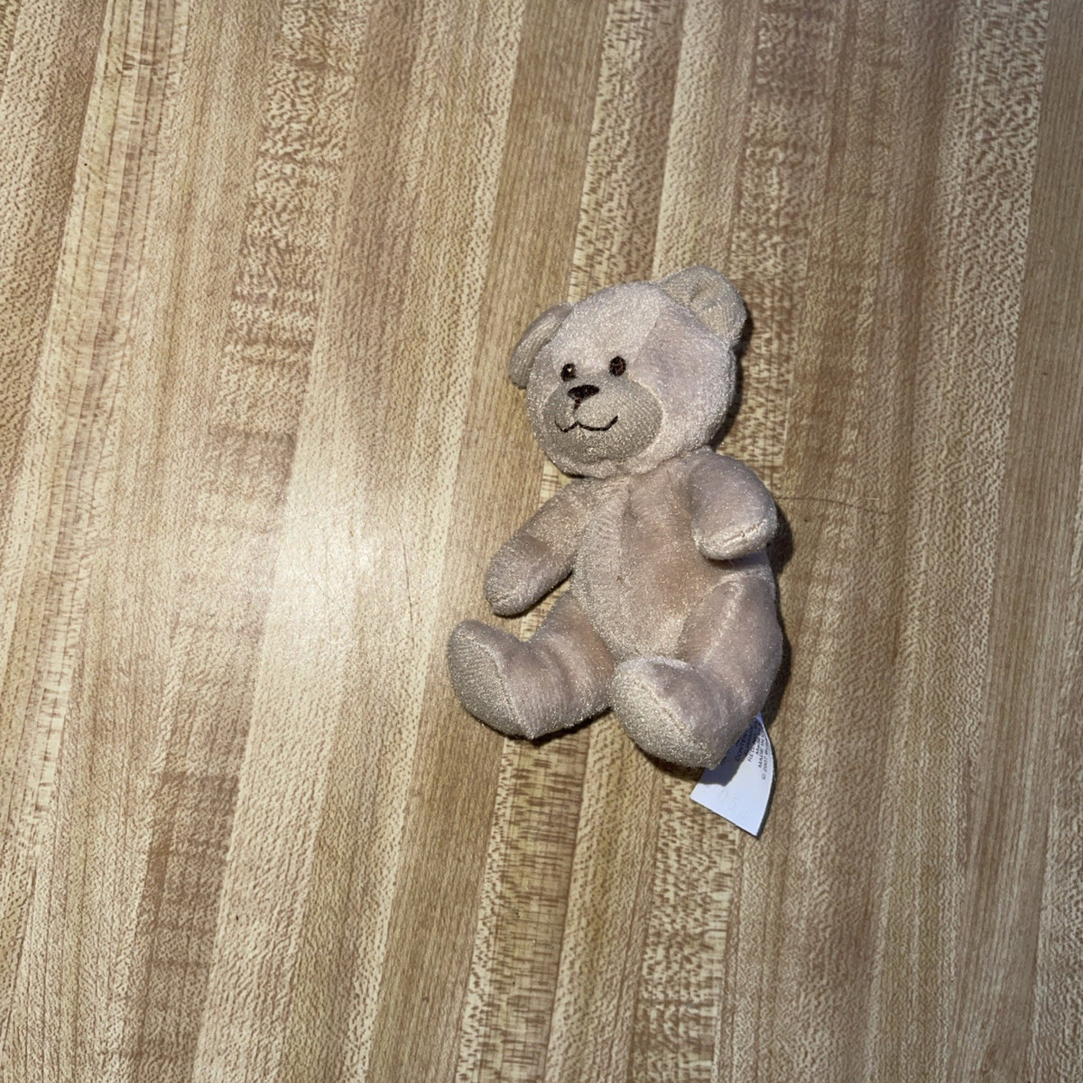 Build A Bear Curly Teddy