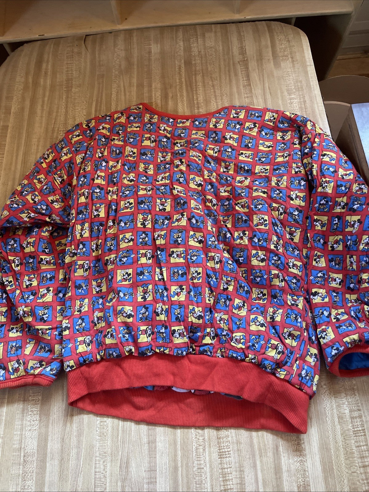 Vintage Mickey & Co Sweatshirt Medium
