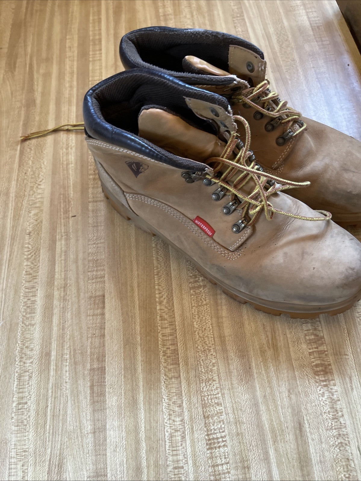 Brahma Boots 12