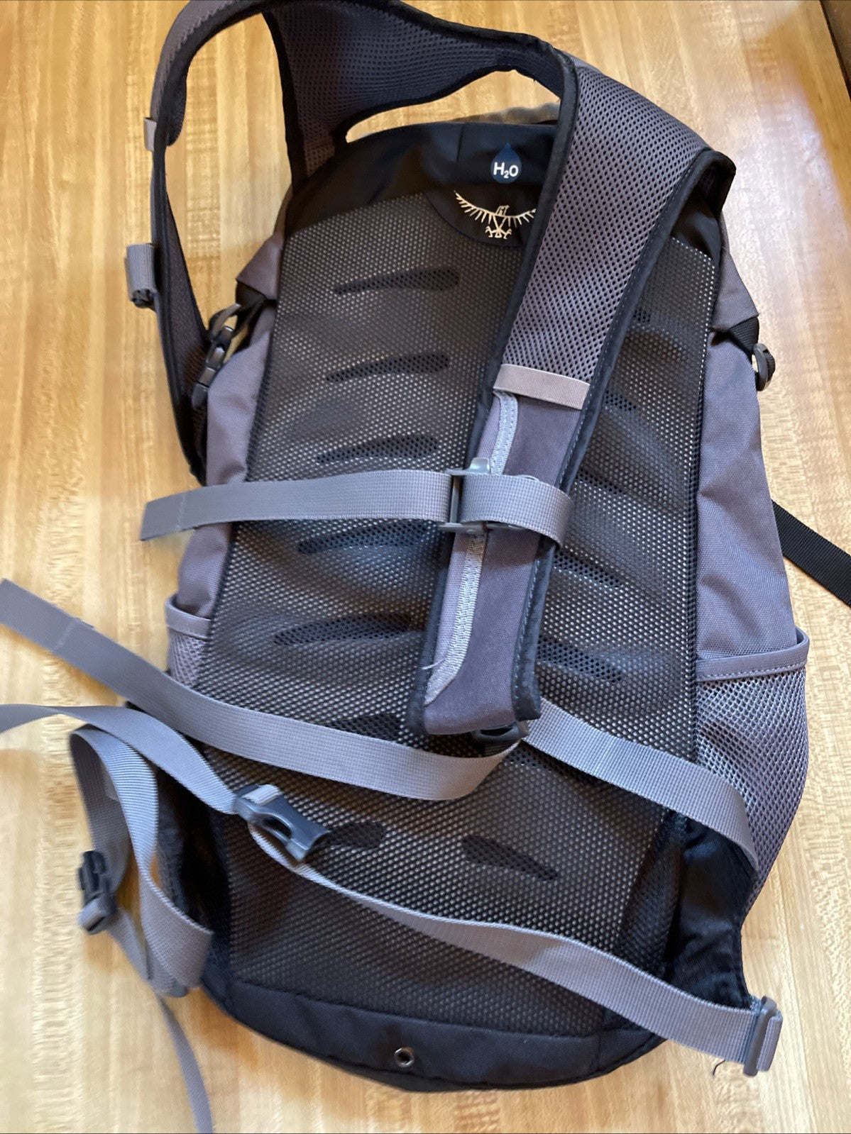 Osprey Daylite  Backpack
