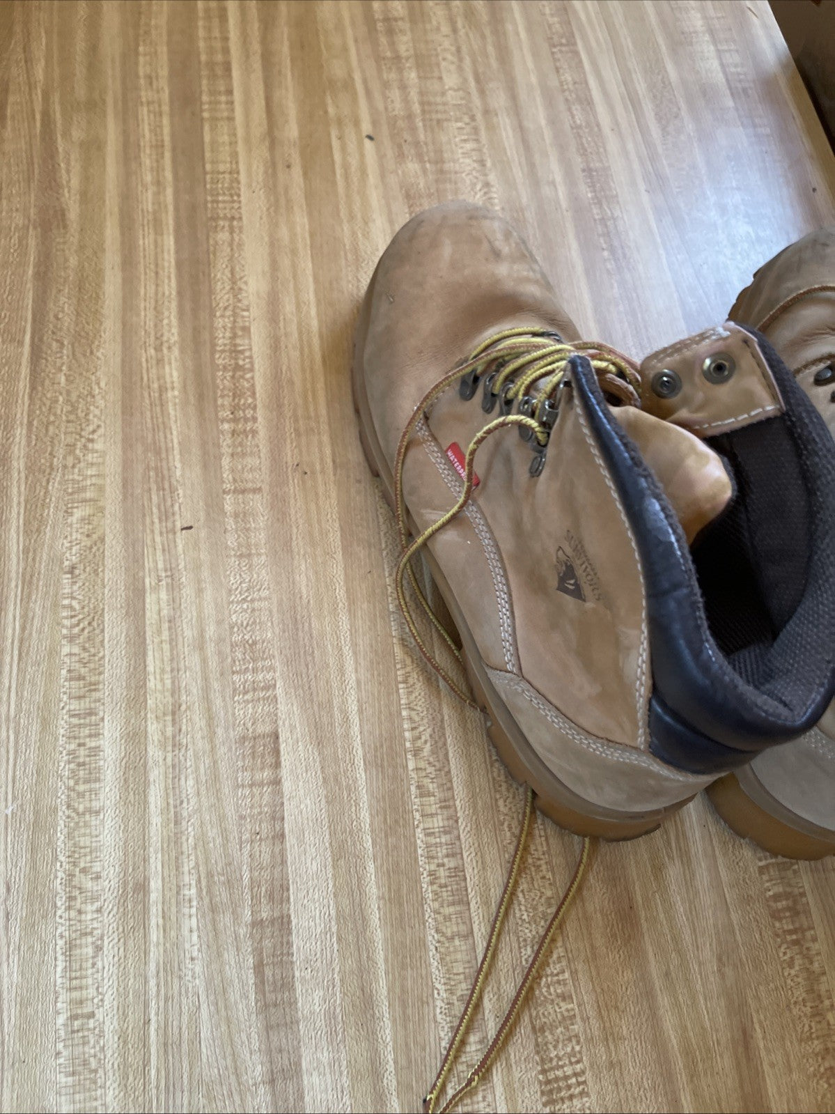 Brahma Boots 12