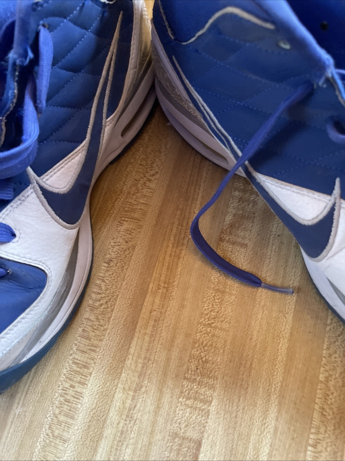 Nike Dream High Size 13