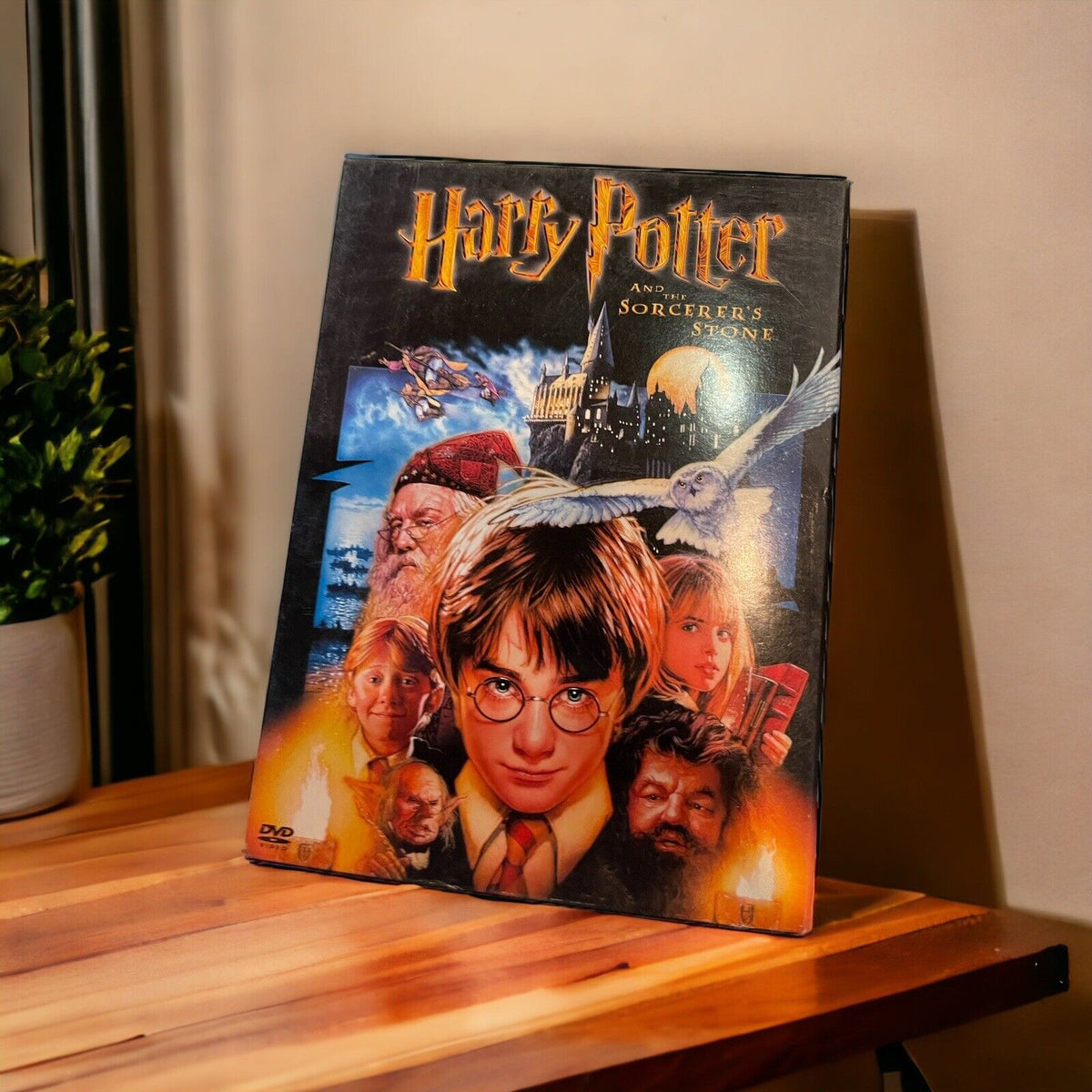 Harry Potter Dvd Lot