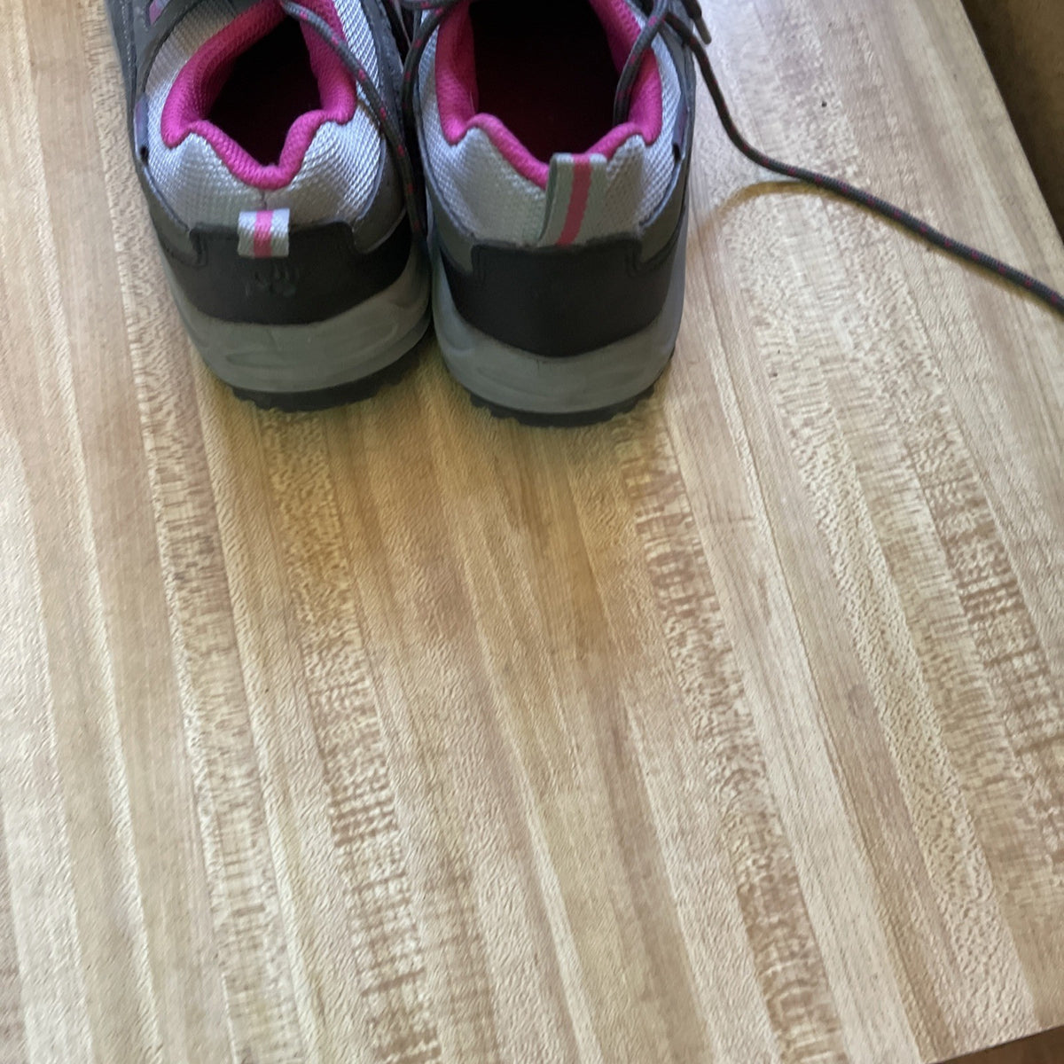 Bearpaw Hiking Shoes 6.5