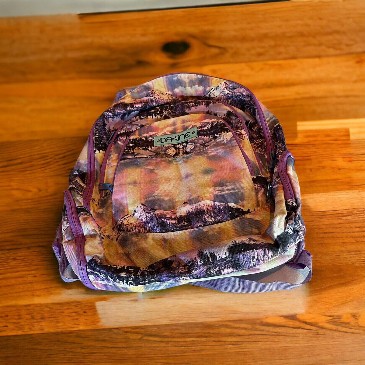 Dakine 25L Backpack 