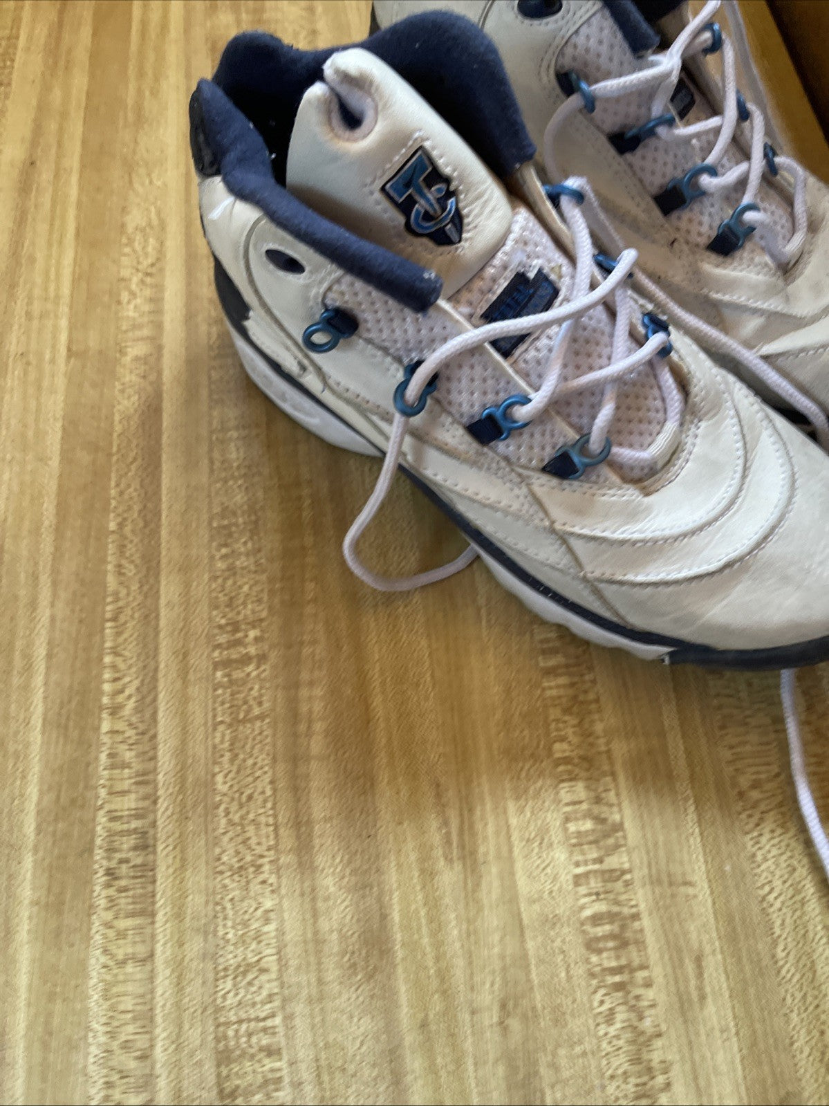 Nike Total Conditioning Sneakers 8.5