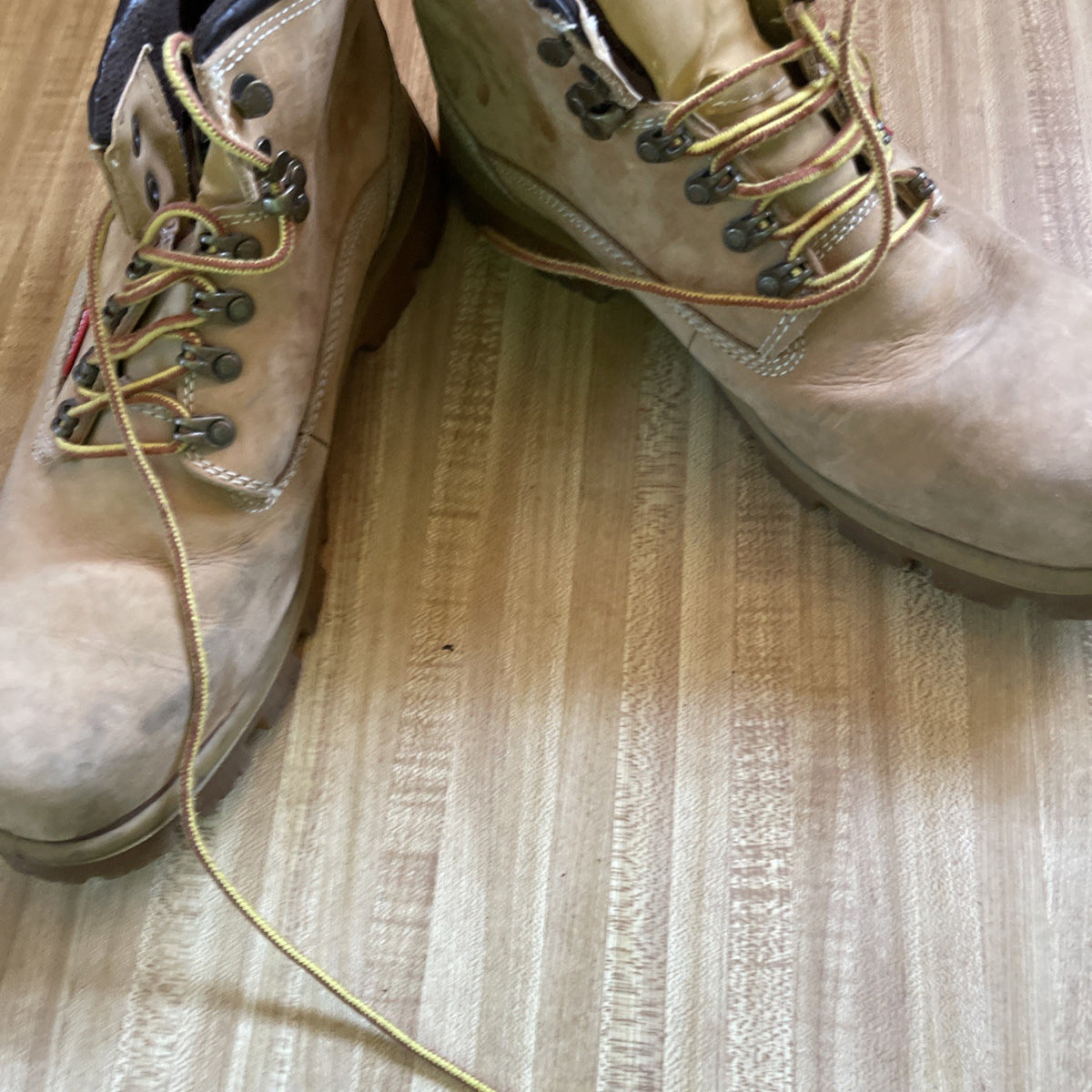 herman survivor boots 12
