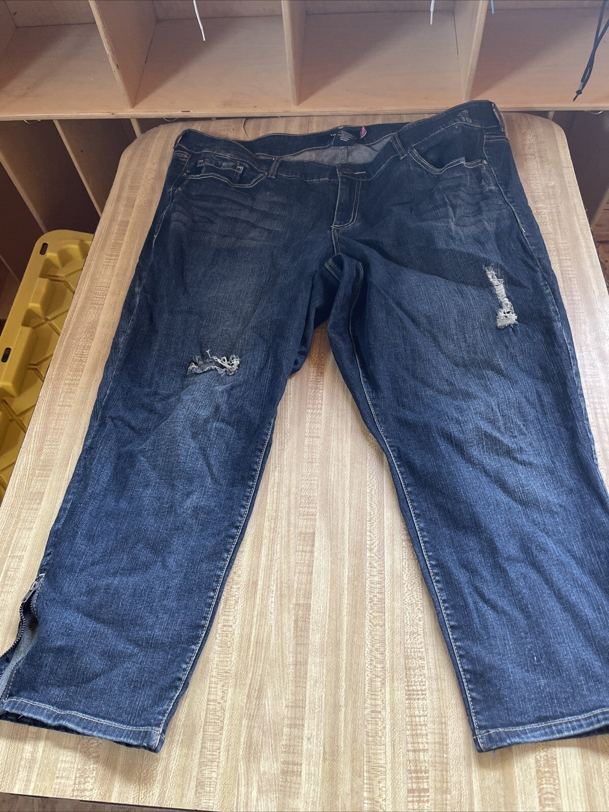 Torrid Jeans 24