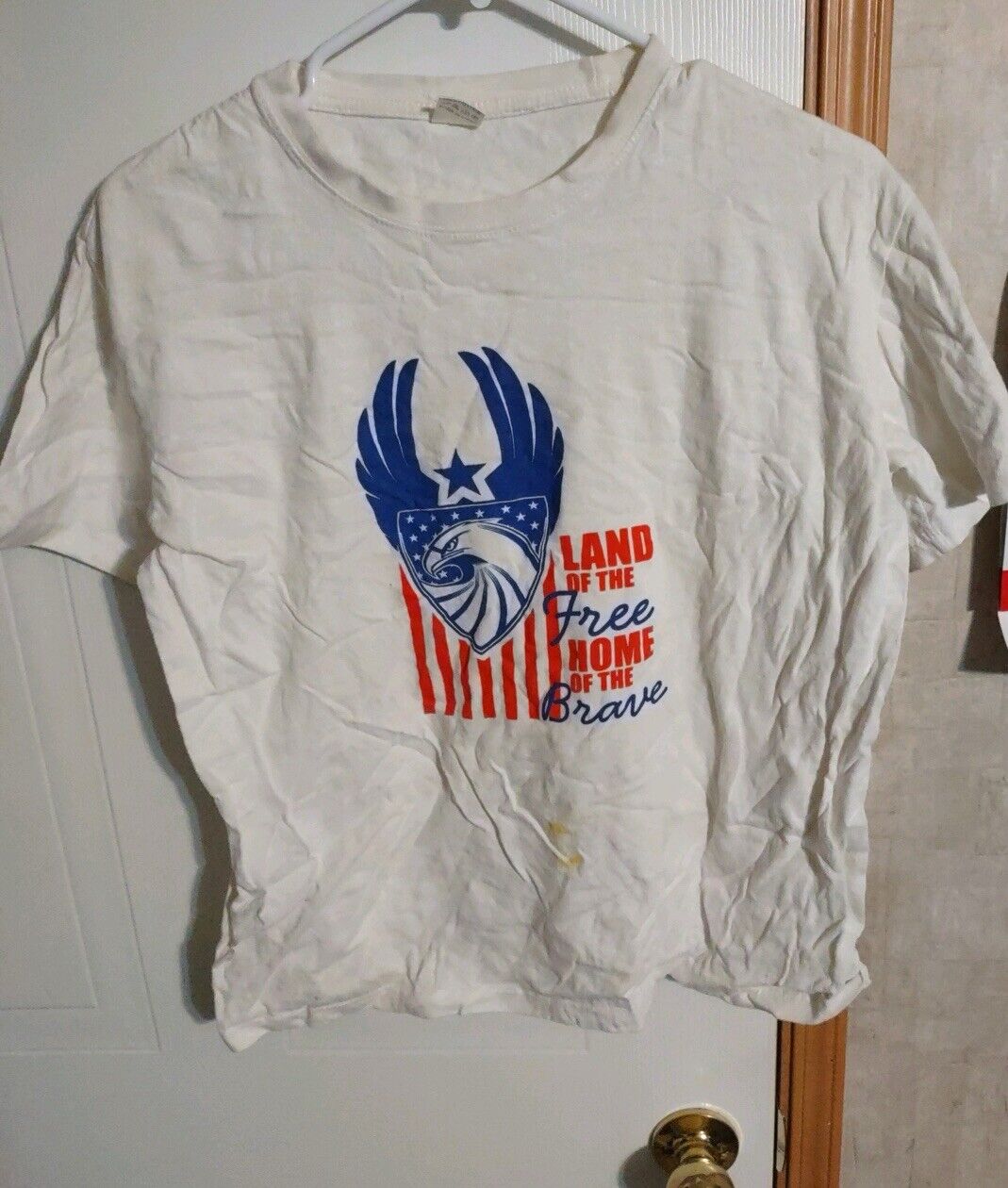 Land Of The Free Home Of The Brave Large T Shirt