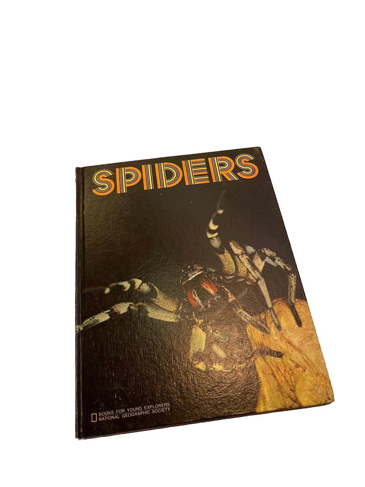 National Geographic Spiders Book