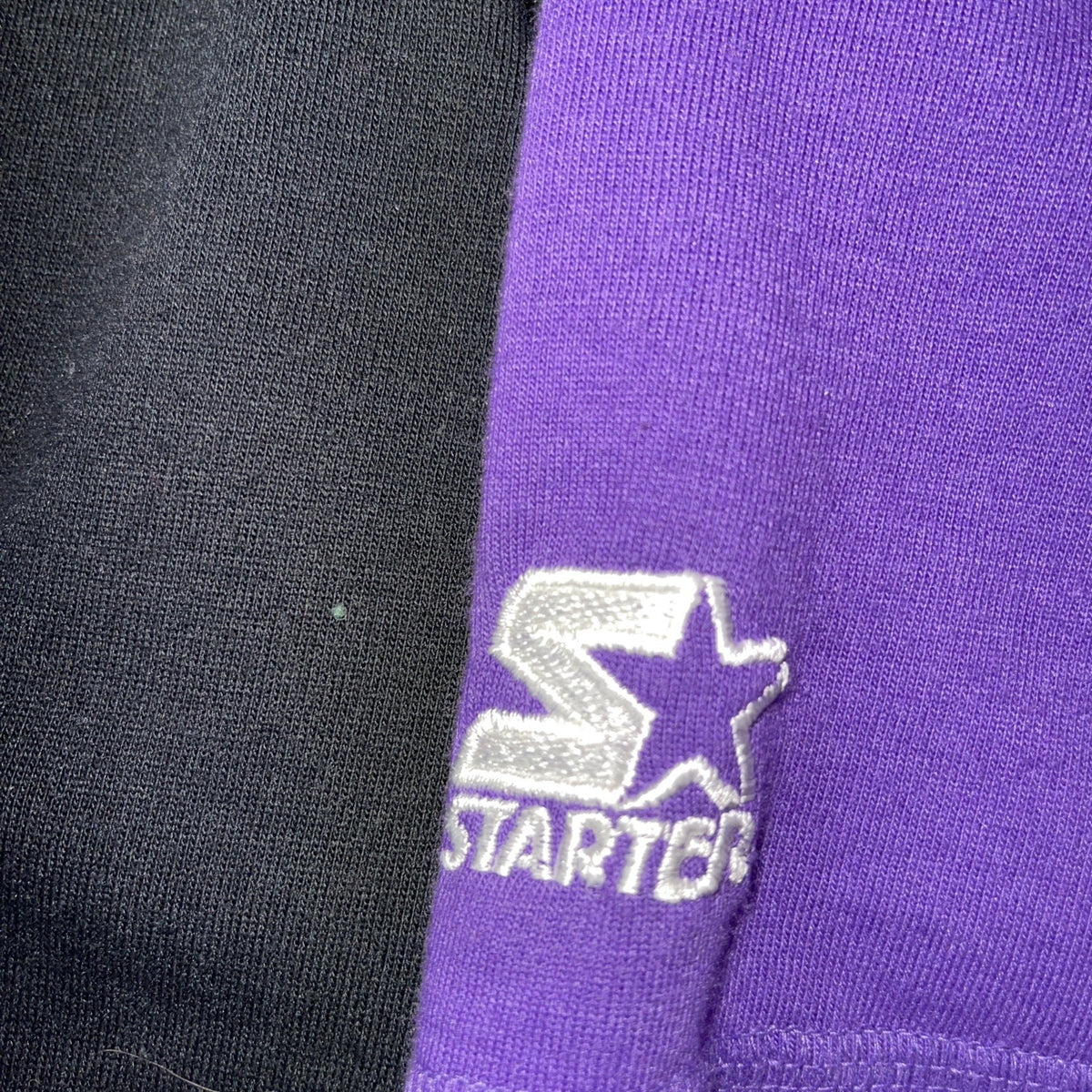 Vintage Starter Charlotte Hornets Hoodie Large 