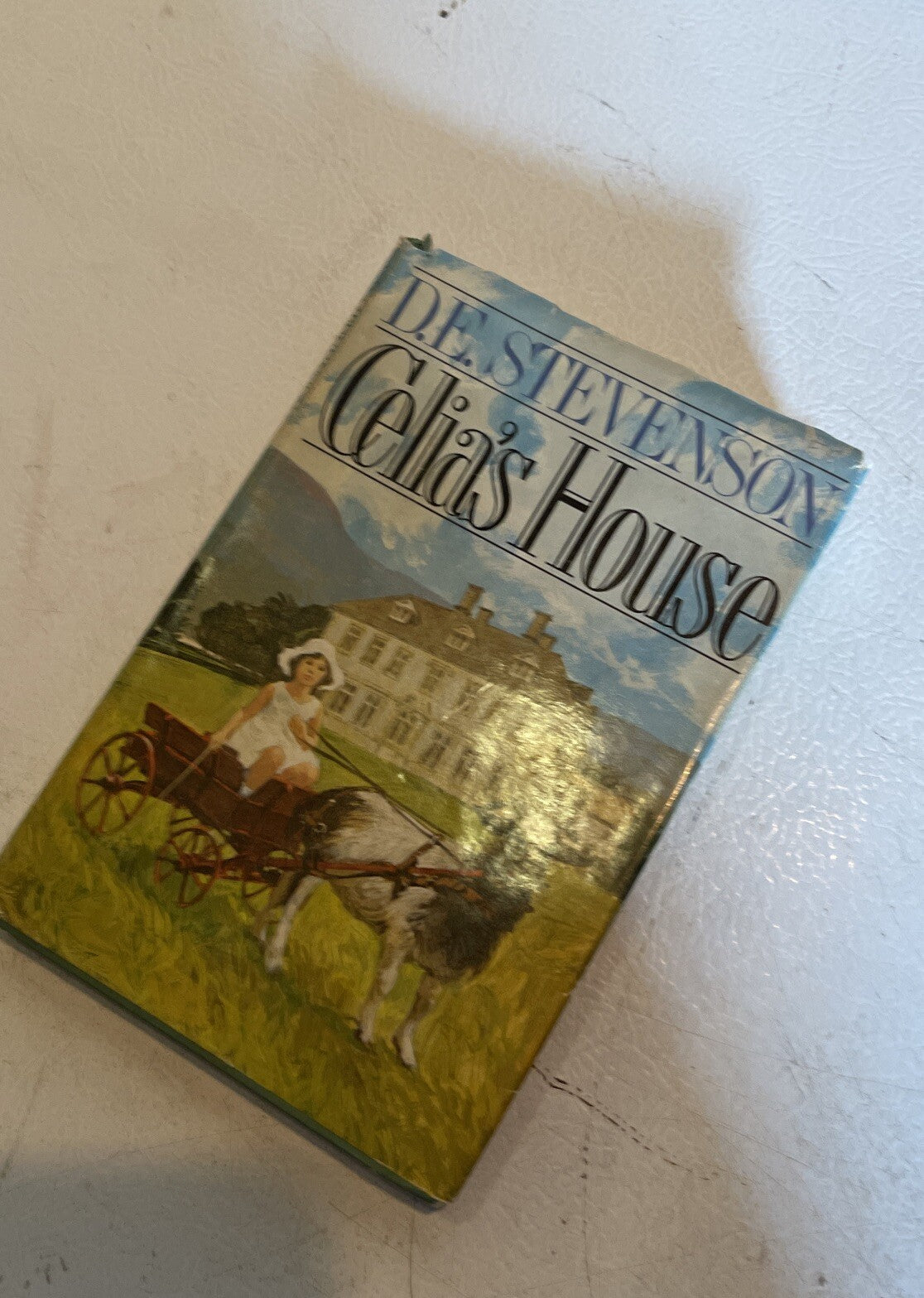 Celia’s House Hardcover
