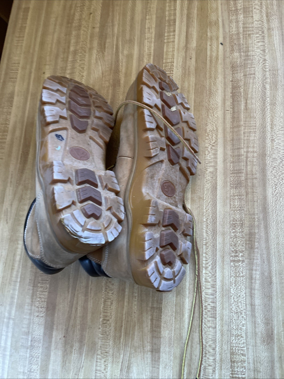 Brahma Boots 12