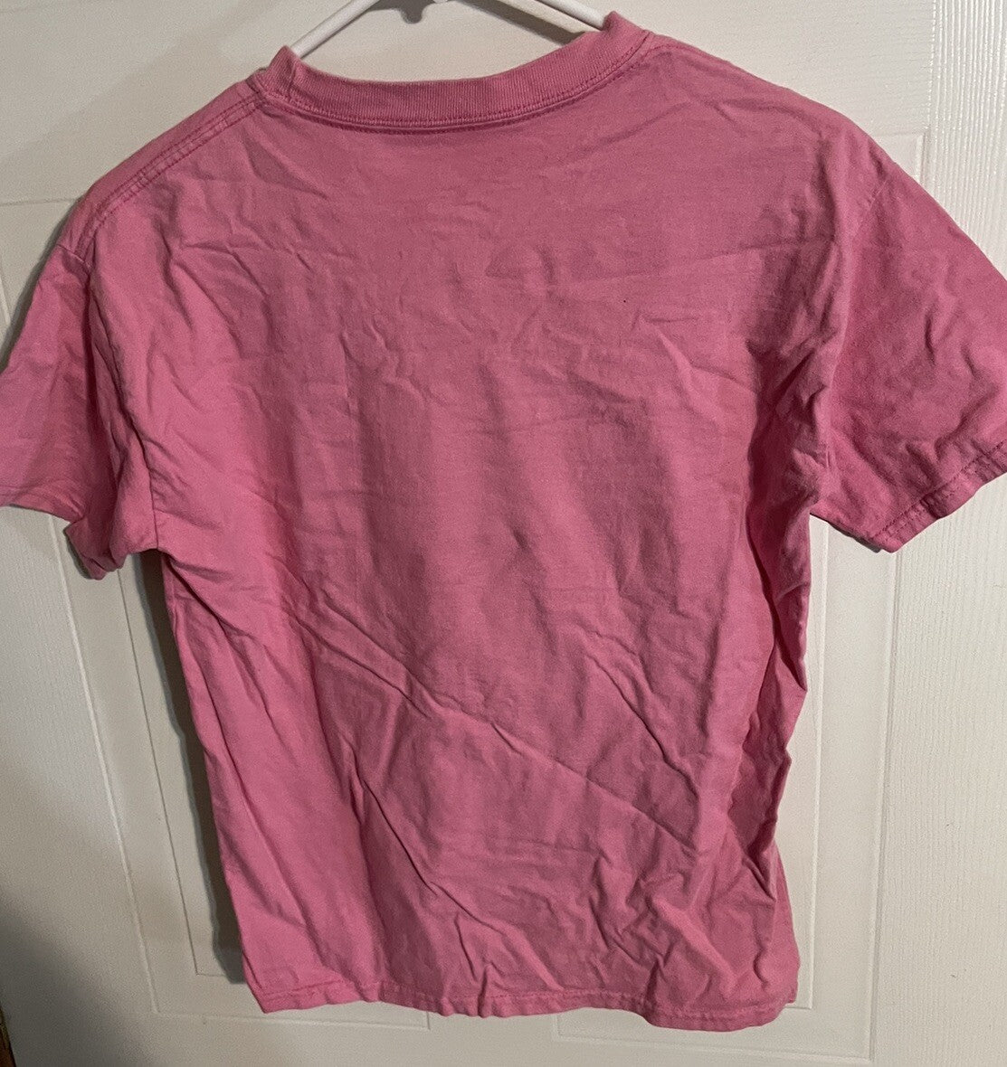 Walt Disney World 2013 Pink T Shirt Size Adult Large