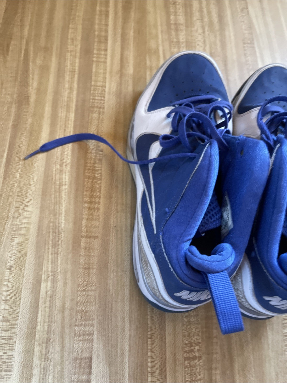 Nike Dream High Size 13
