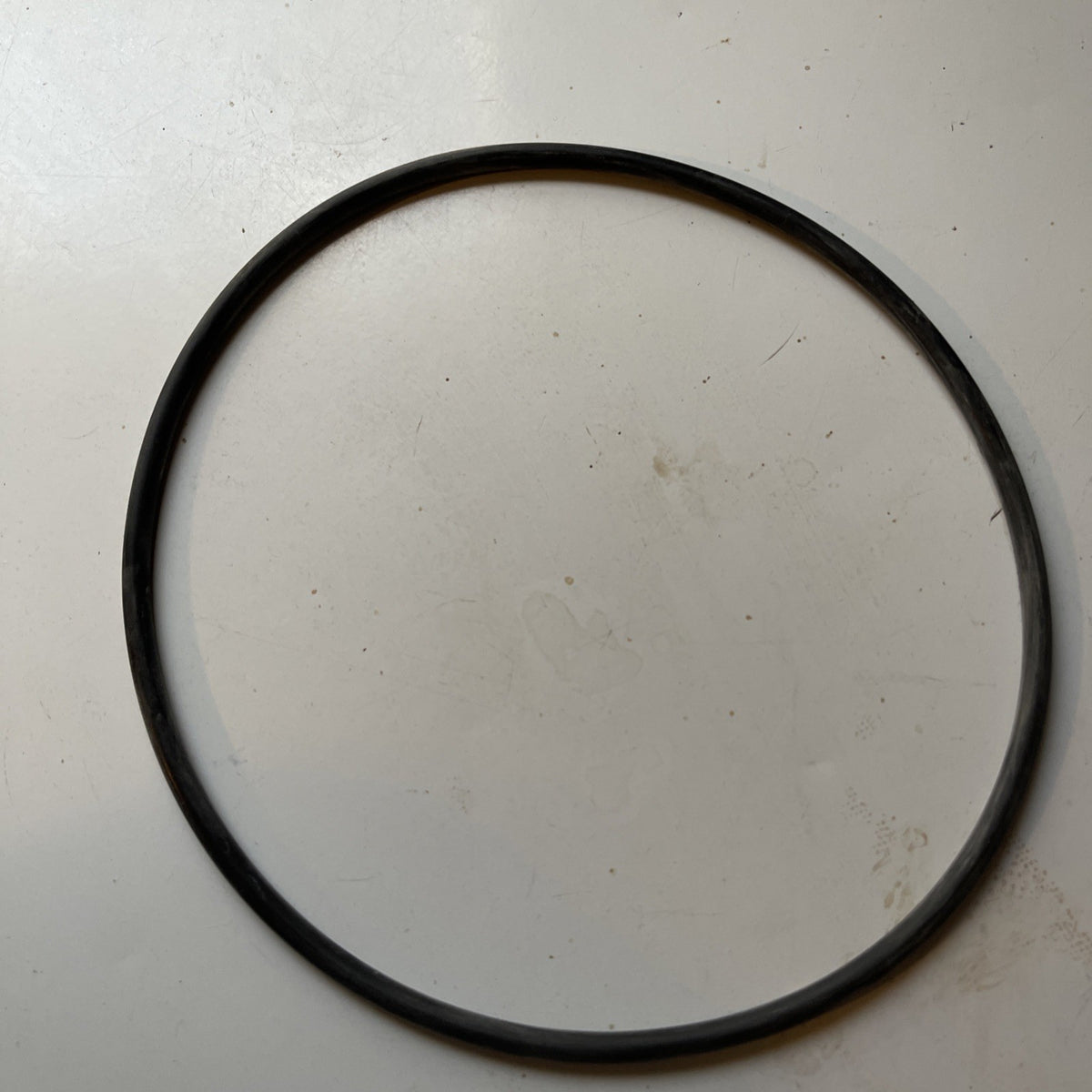 o ring