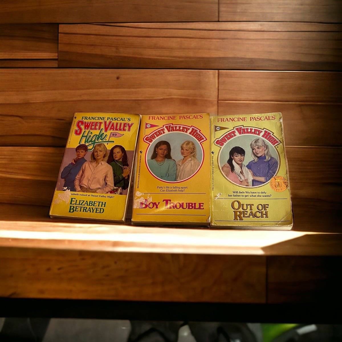 Huge Sweet Valley High Book Lot