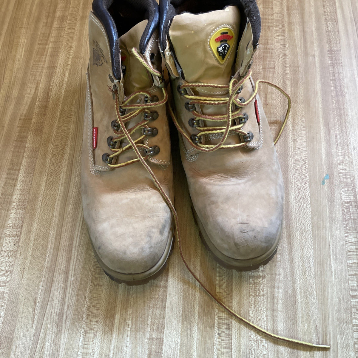 herman survivor boots 12