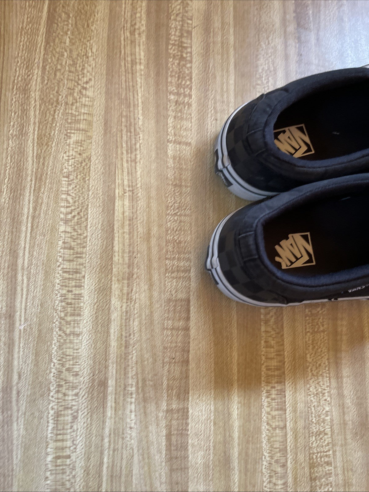 Vans Slip On 8.5