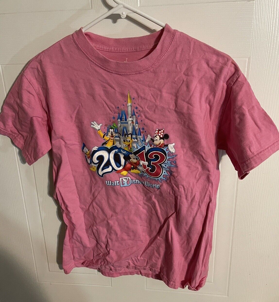 Walt Disney World 2013 Pink T Shirt Size Adult Large 
