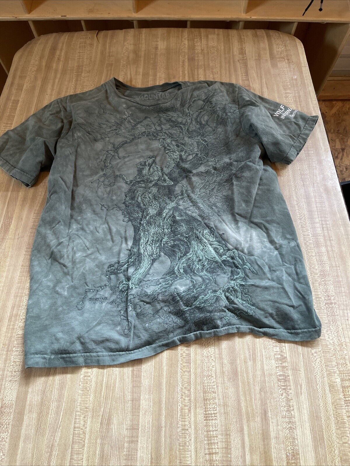 The Mountain Organic T Shirt Large 
