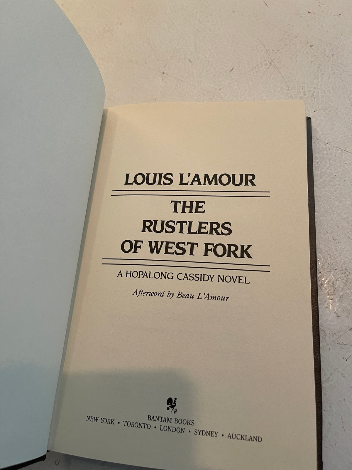 Louis L’amour book lot