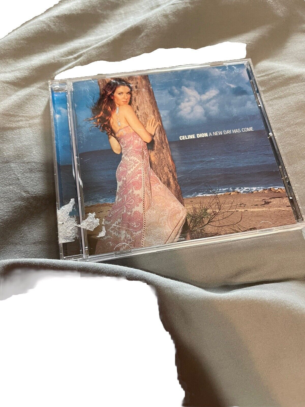 Céline Dion A New Day Has Come CD album cover featuring Céline Dion in a flowing dress by the beach