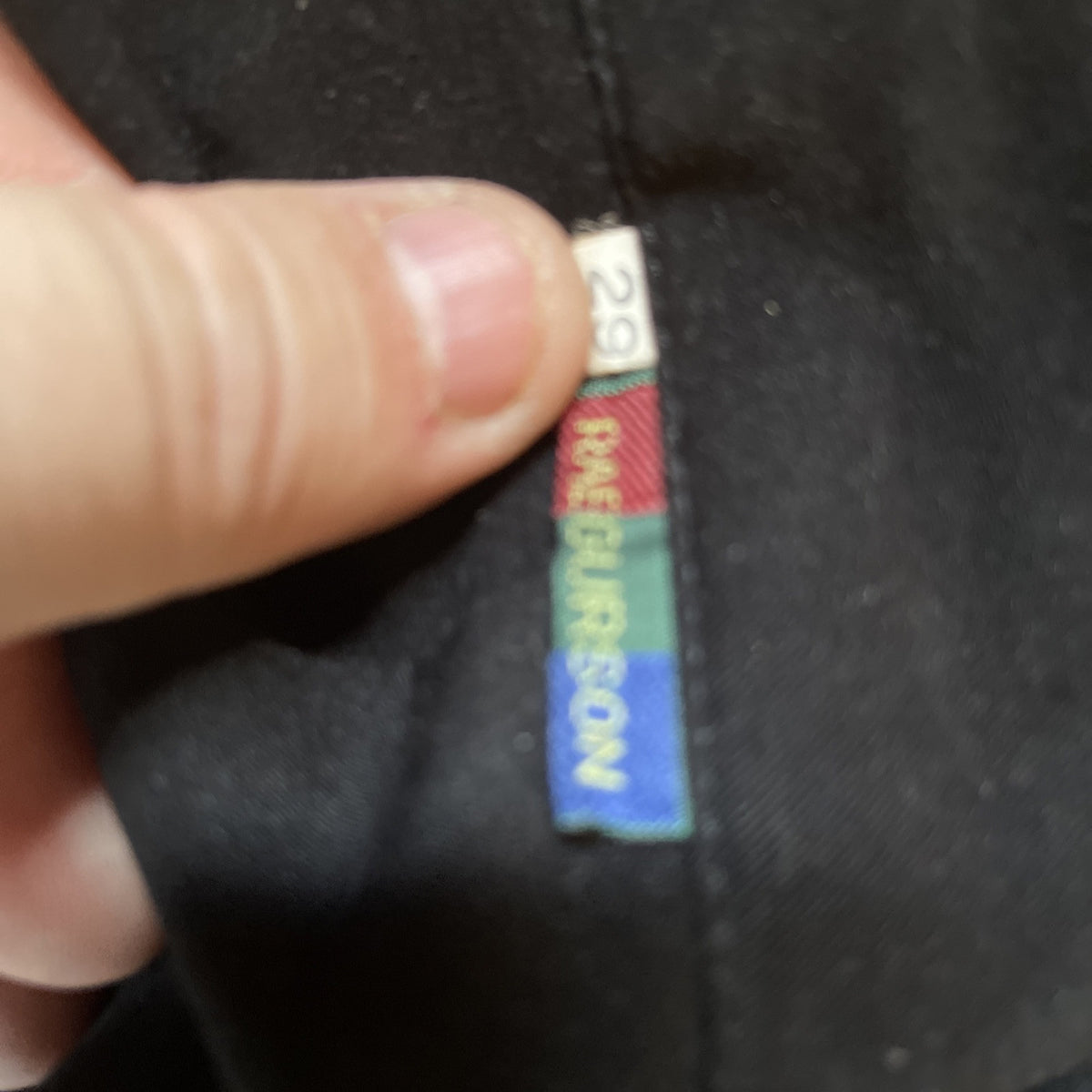 Rae Gurson Pants 29