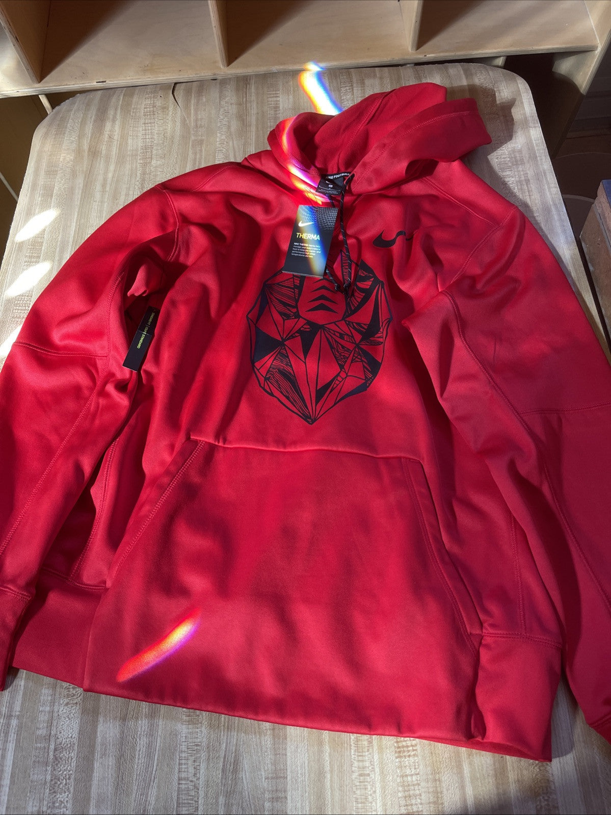 Nike Therma Hoodie NWT Large 