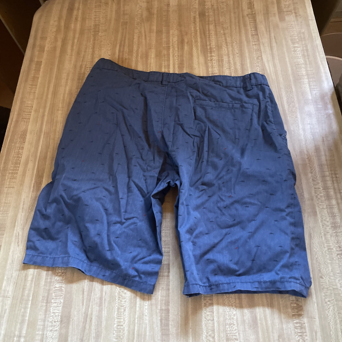 Public Record Shorts 34
